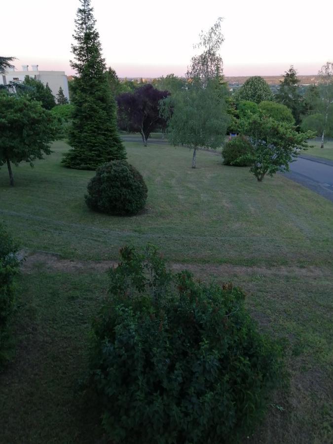 Appartement Pres De Beauval Et Des Chateaux Монришар Екстер'єр фото